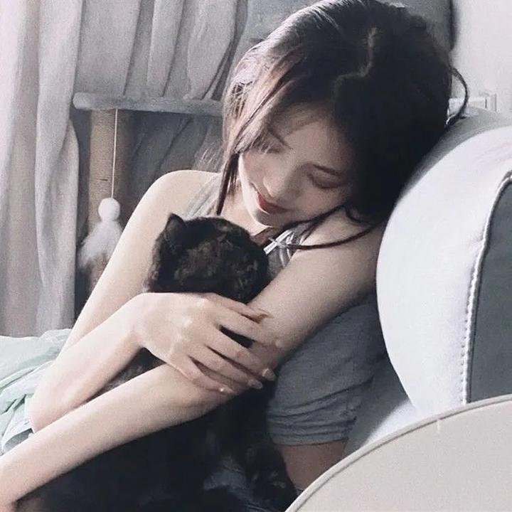 长白·灵蛇传封面