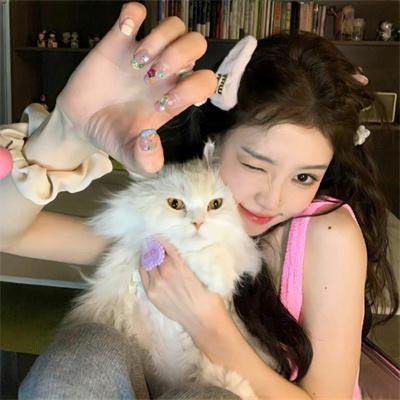 汤姆猫与杰利鼠封面