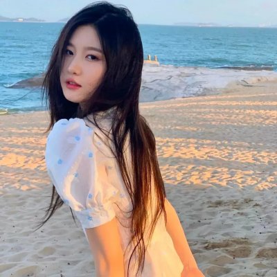 离狼之歌封面